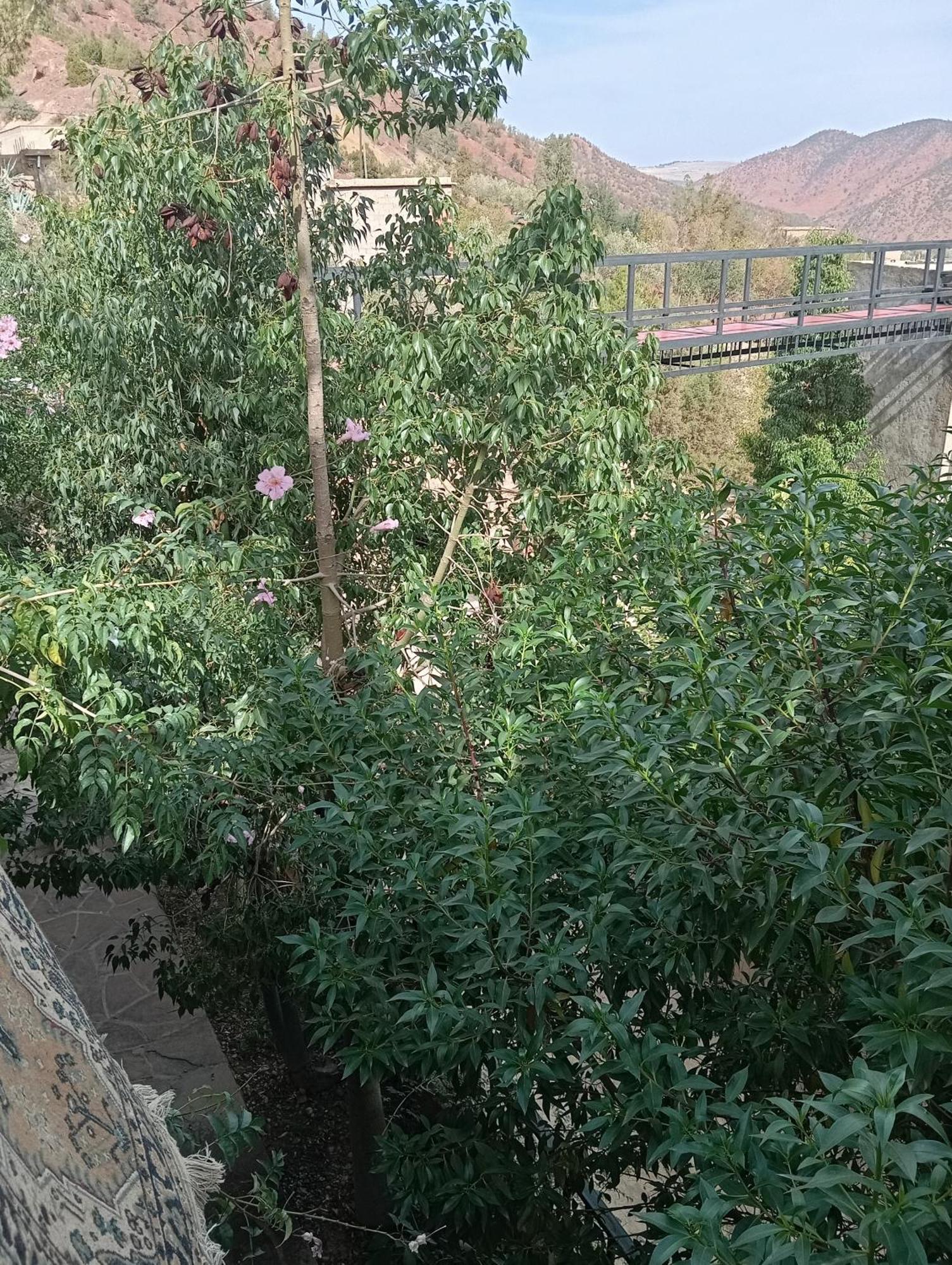 Hotel Dar Soulaimane Asguine Esterno foto