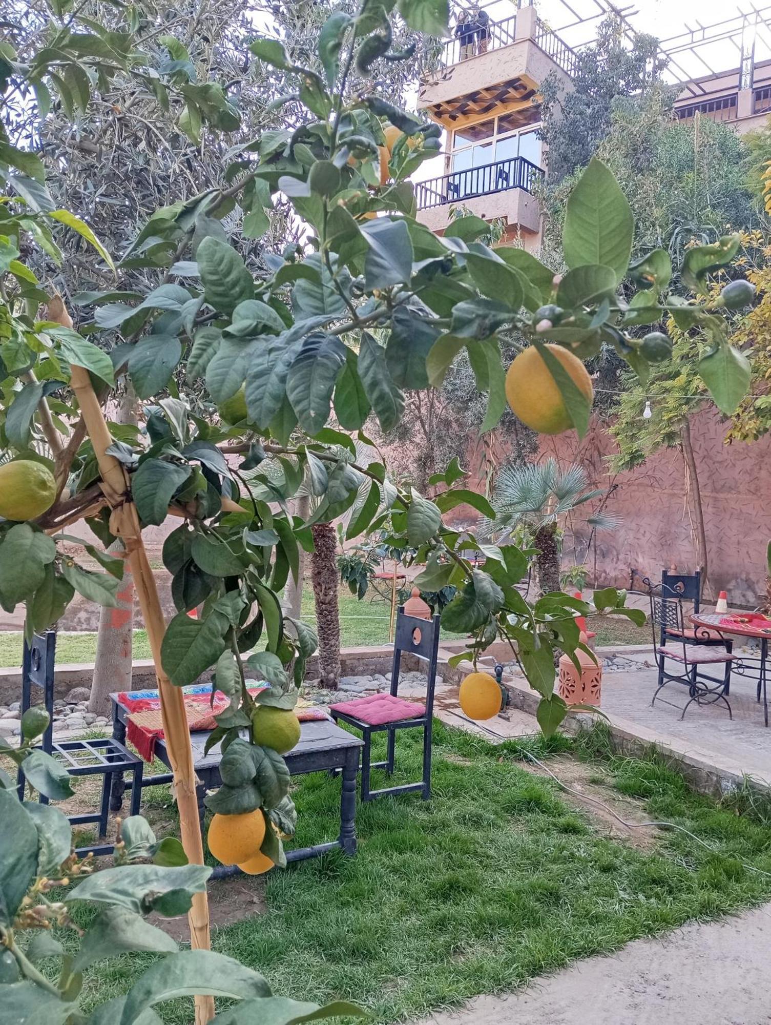 Hotel Dar Soulaimane Asguine Esterno foto